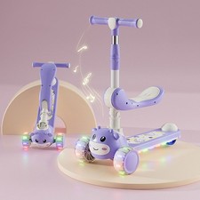 Adjustable Folding Kids